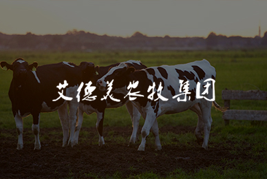 29艾德美农牧集团有限公司 拷贝.jpg