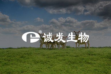 31诚发生物动物药业有限公司 拷贝.jpg