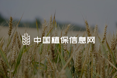 32中国植保信息网 拷贝.jpg