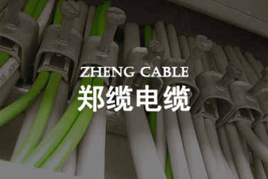 郑缆电缆